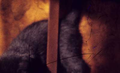 showing scratched negative with small signs of damp